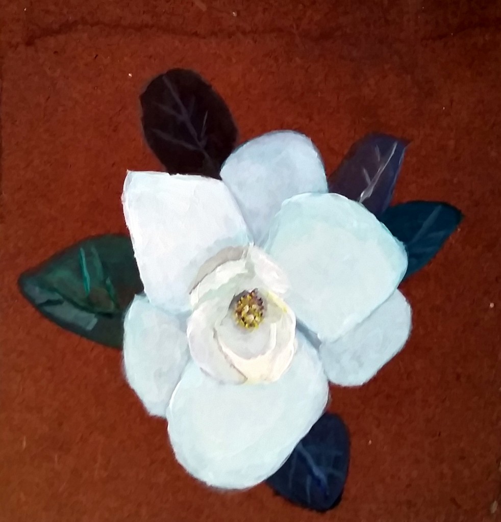 Magnolia